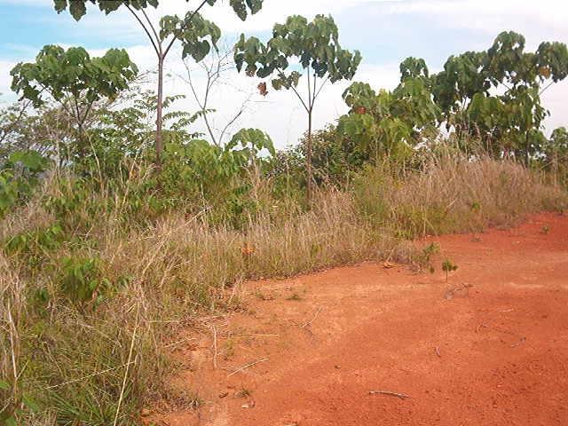 0 1 Mountain Top View