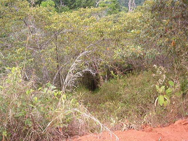 0 1 Mountain Top View