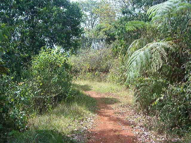 0 1 Mountain Top View