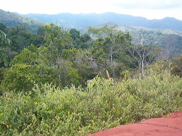 0 1 Mountain Top View