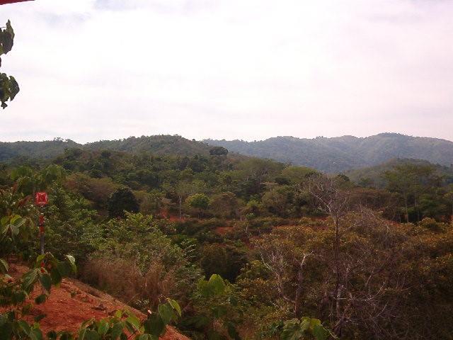 0 1 Mountain Top View