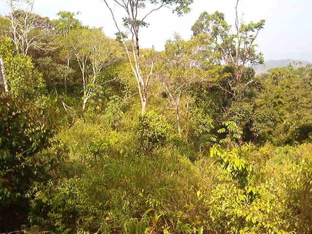 0 1 Mountain Top View