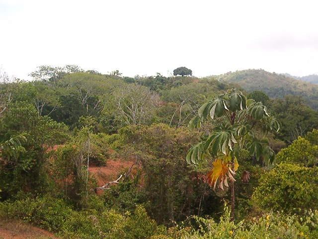 0 1 Mountain Top View