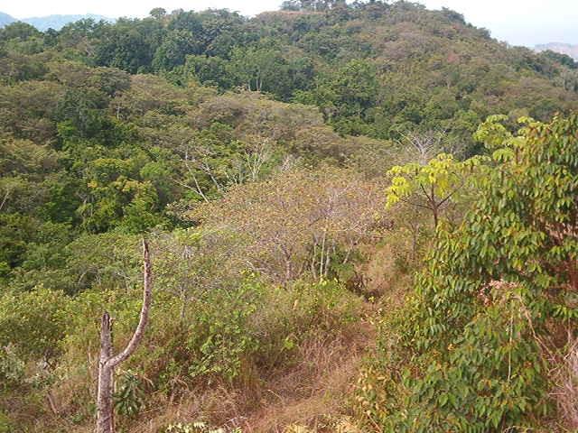 0 1 Mountain Top View