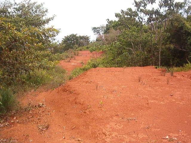 0 1 Mountain Top View