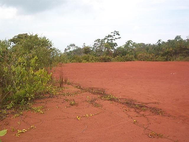 0 1 Mountain Top View