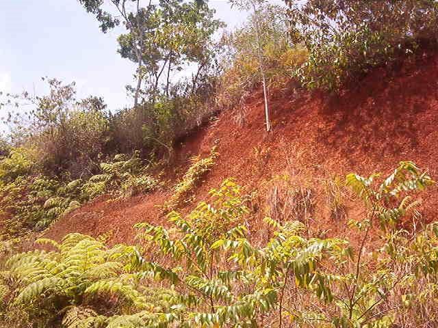 0 1 Mountain Top View