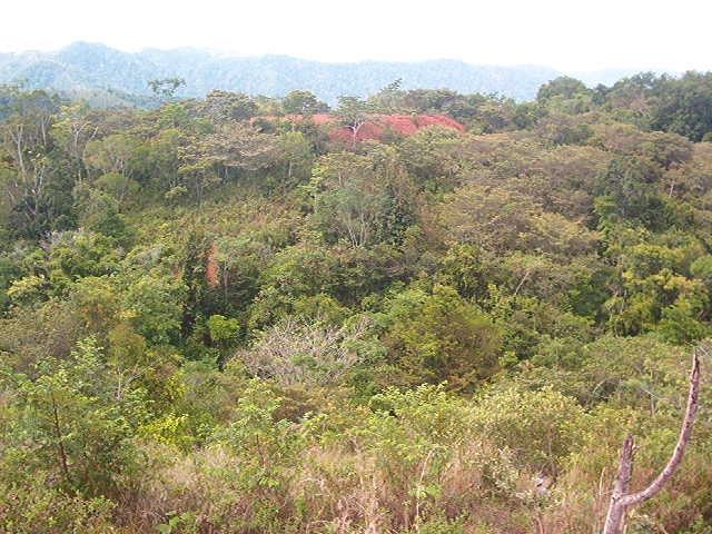 0 1 Mountain Top View