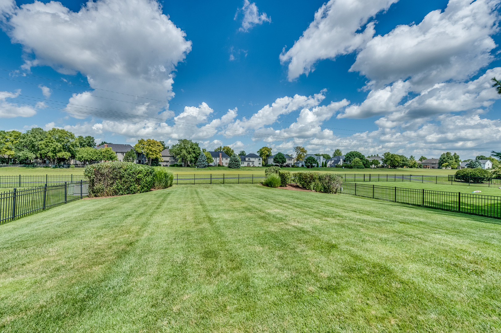 3703 Mistflower Lane