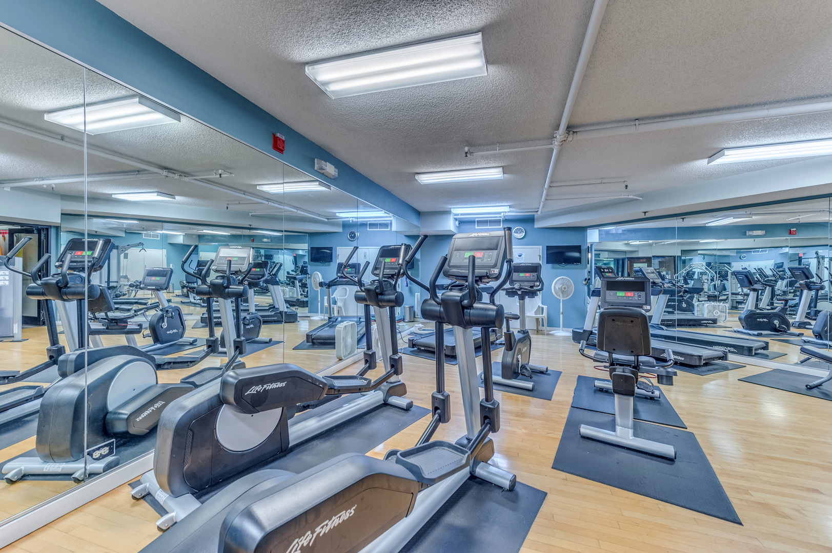 509 Aurora Avenue Unit: 205