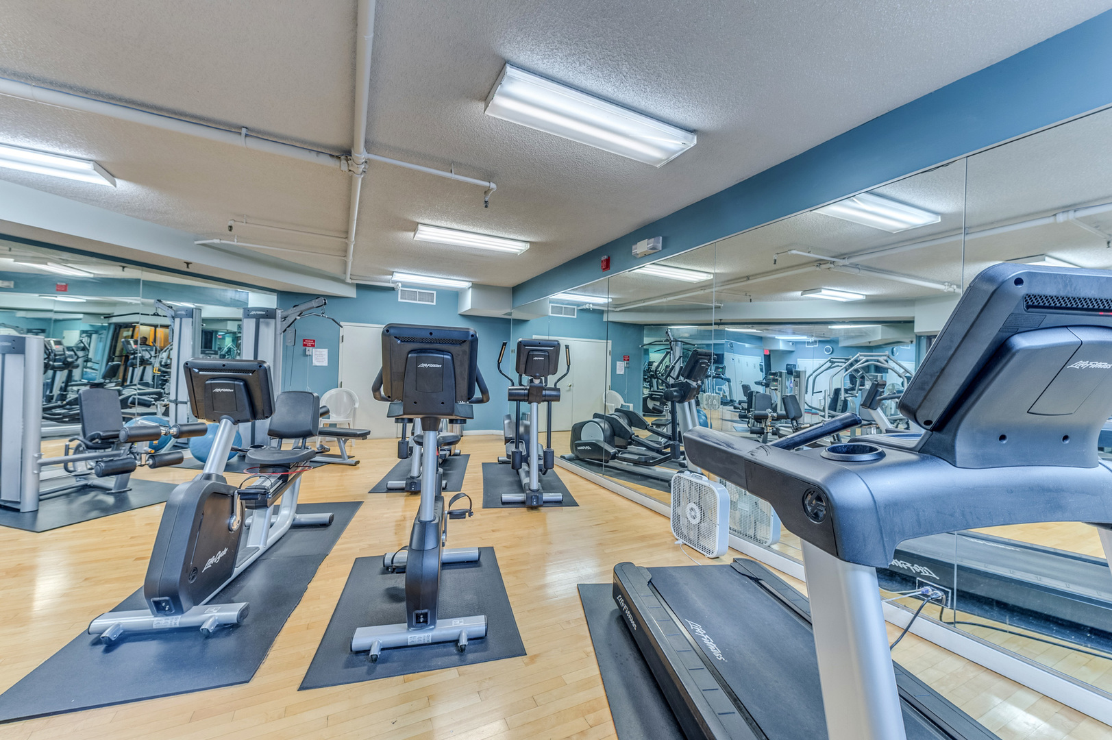 509 Aurora Avenue Unit: 205