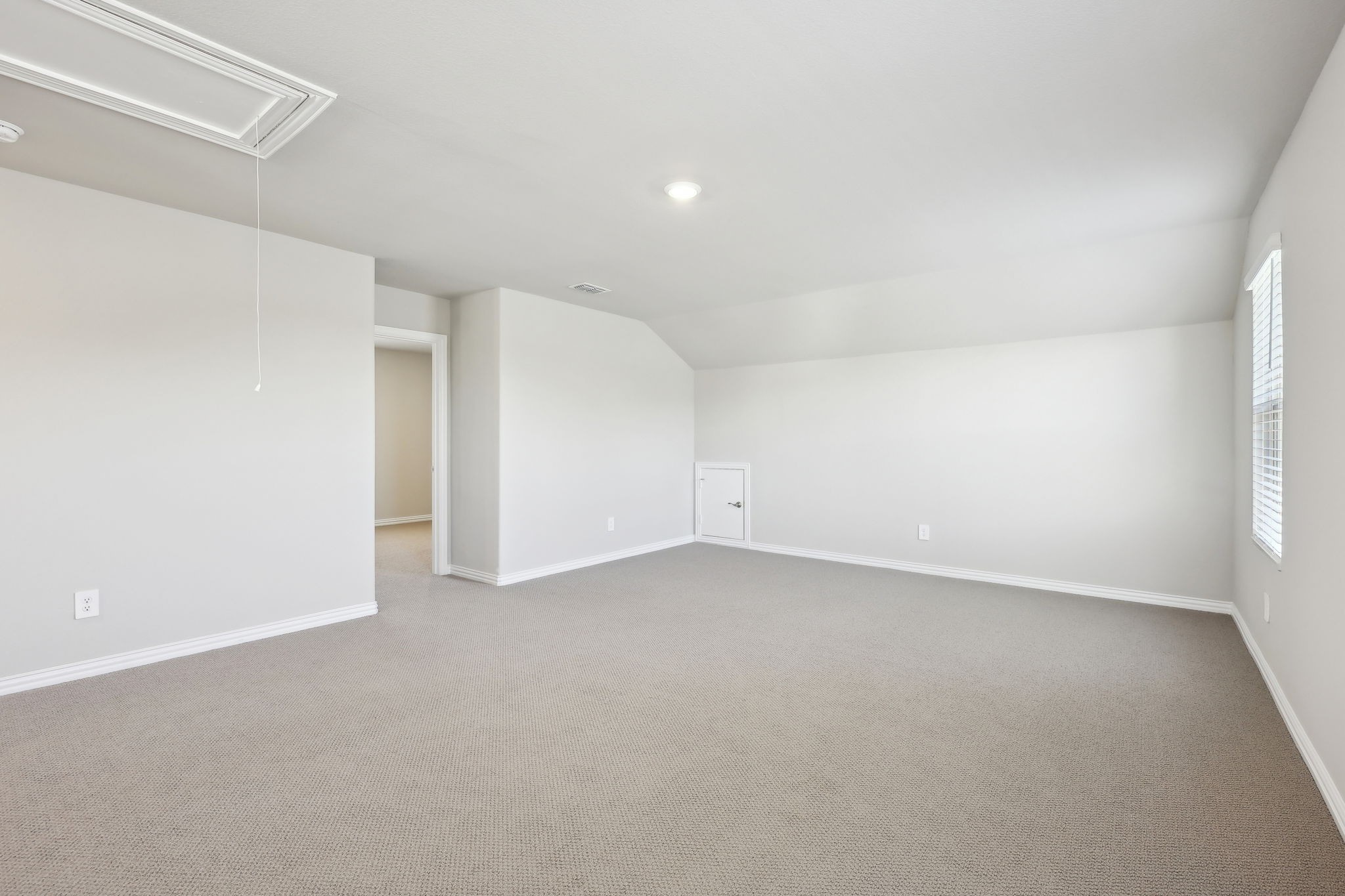 509 Willet Drive