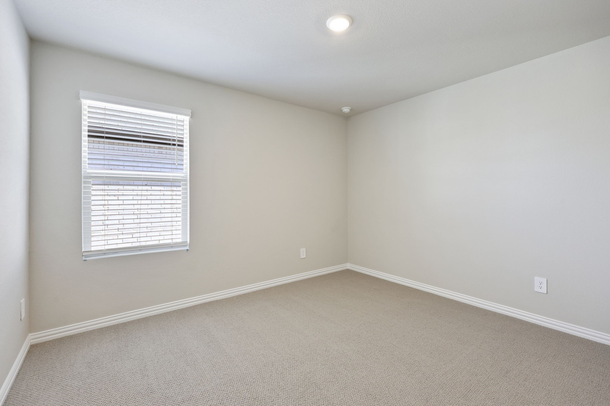 509 Willet Drive