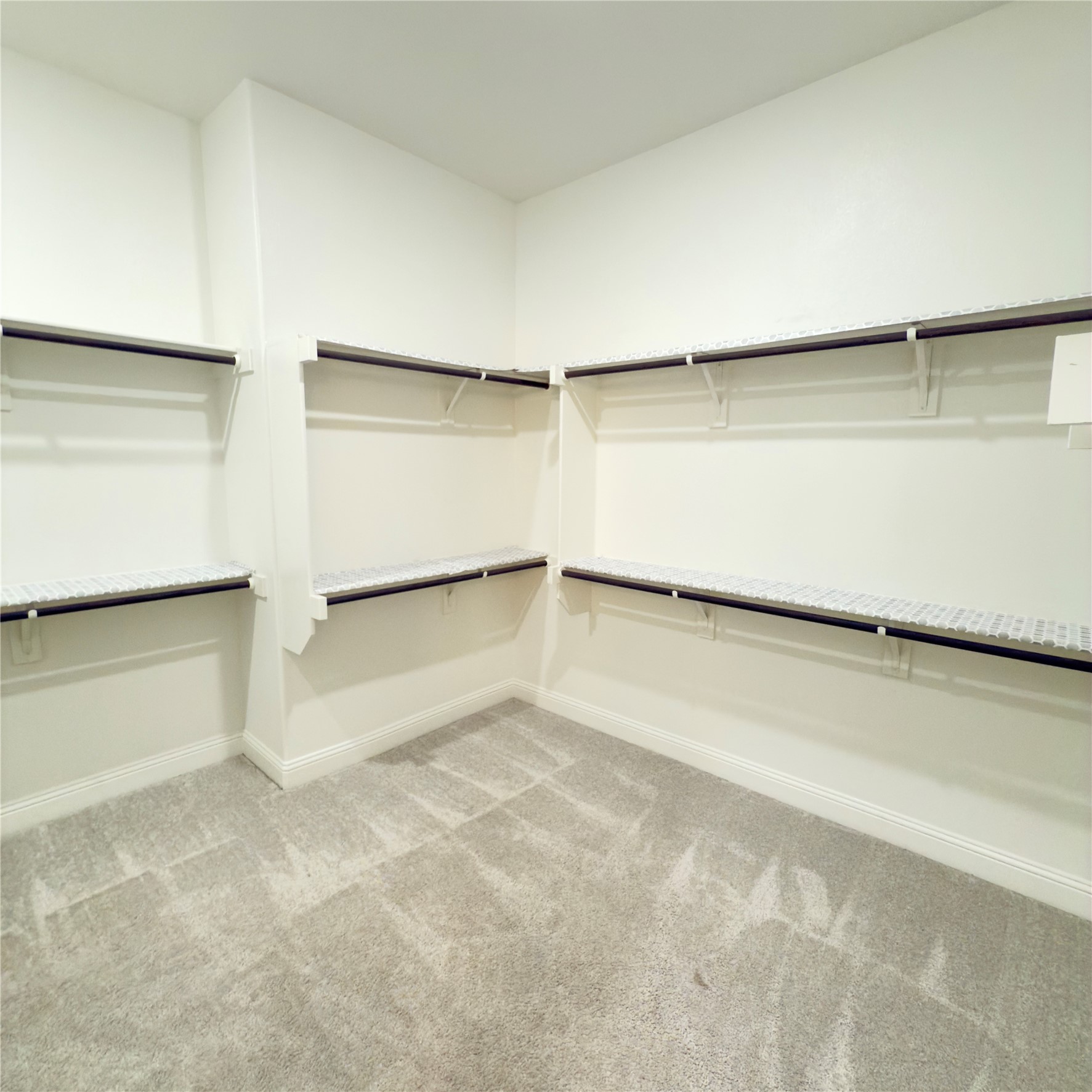 8821 Autumn Lake Trail