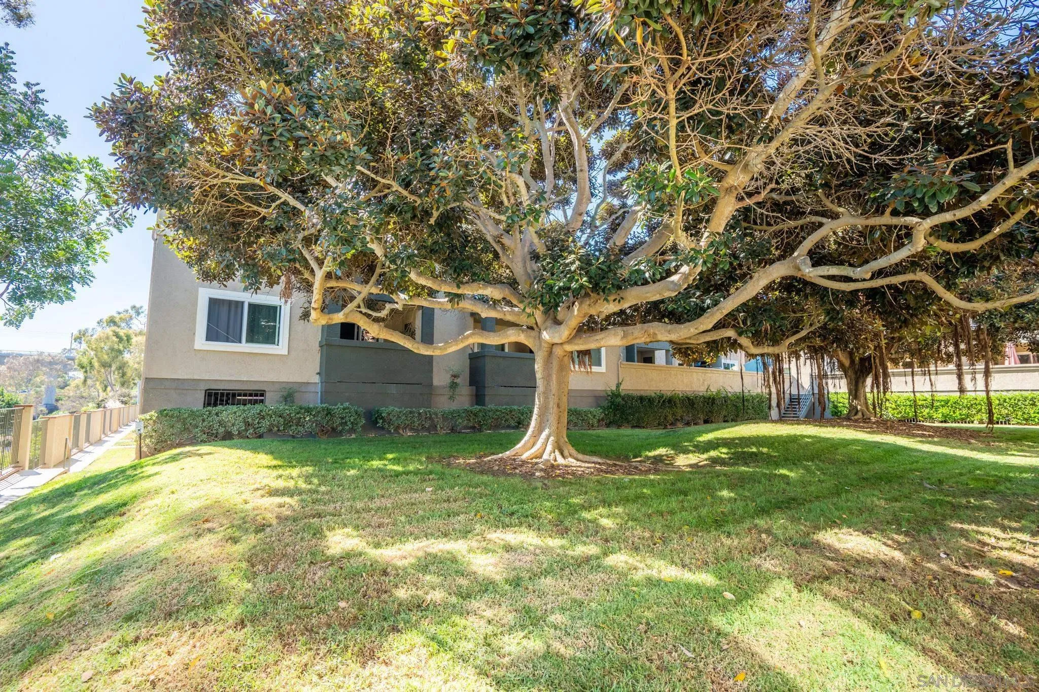 7405 Charmant Dr Unit 1902