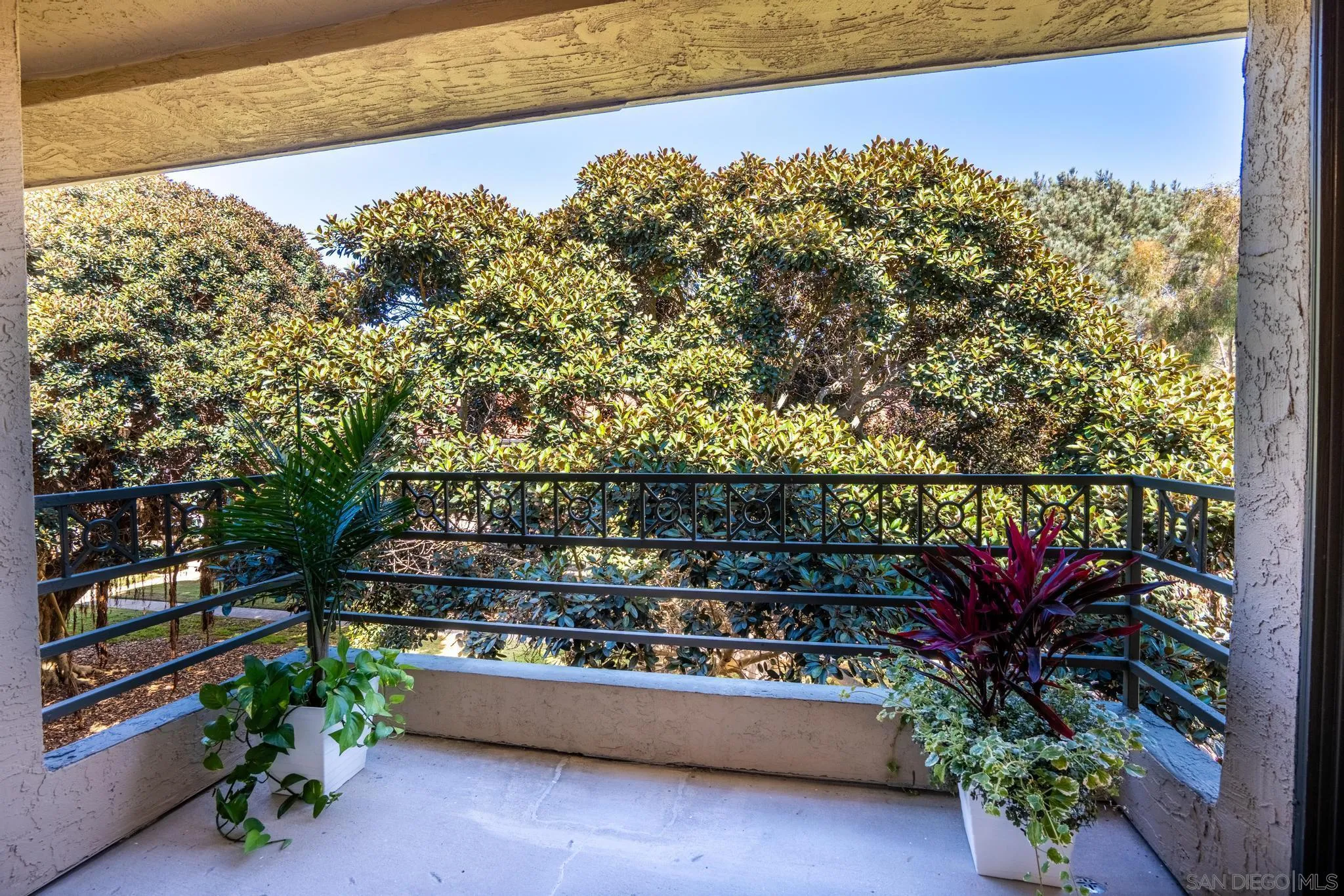 7405 Charmant Dr Unit 1902