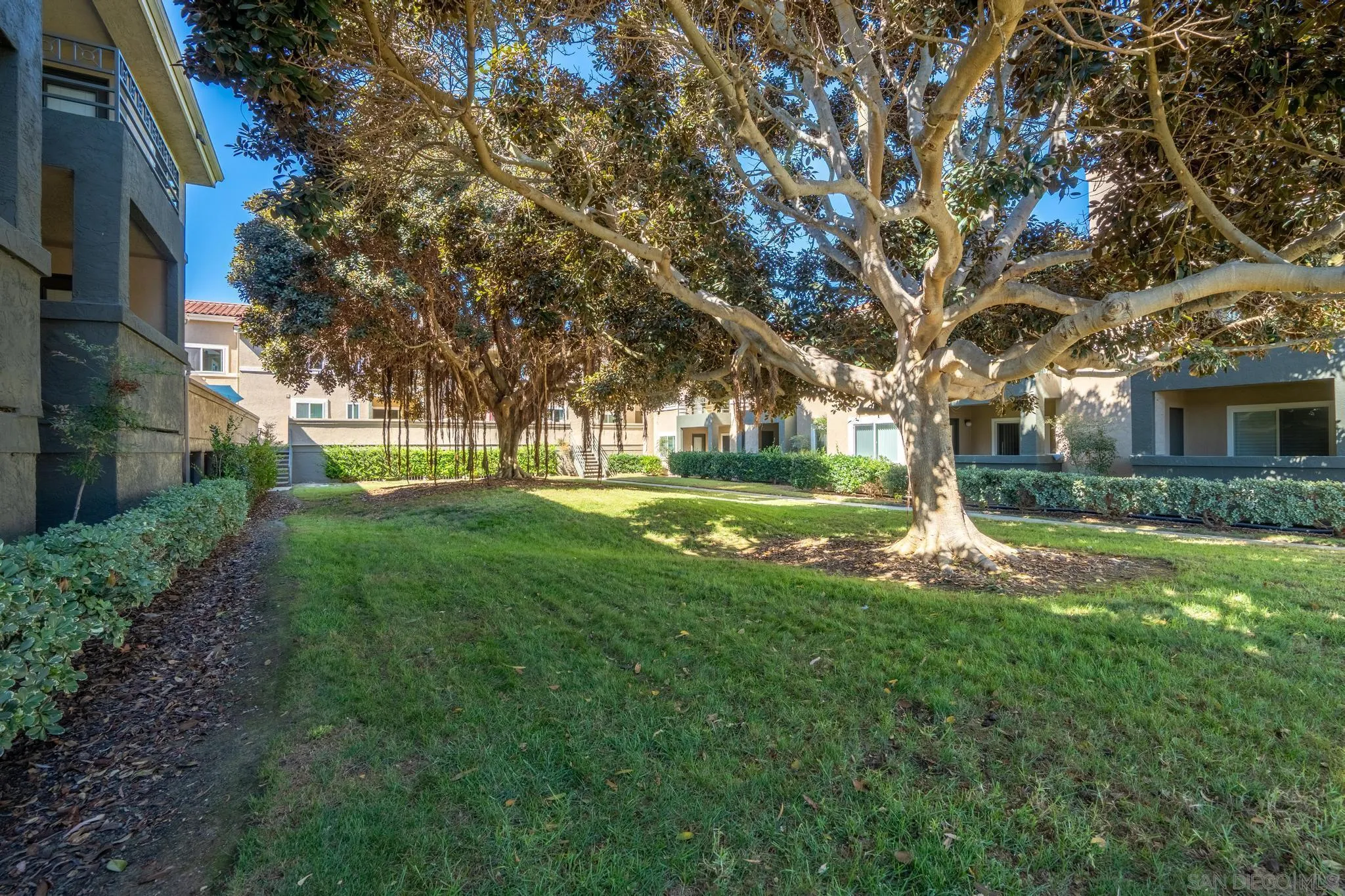 7405 Charmant Dr Unit 1902