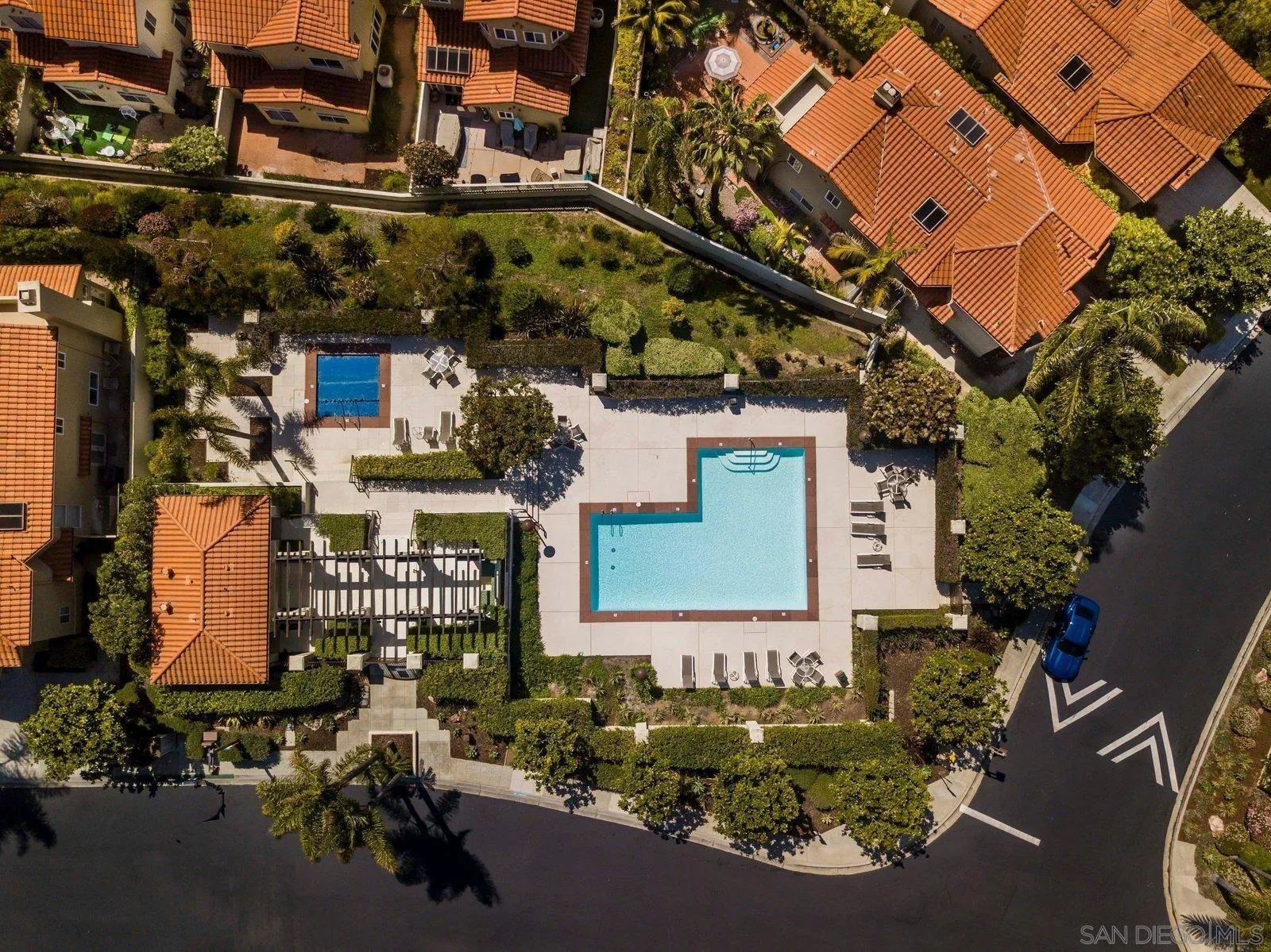 1618 Caminito Solidago