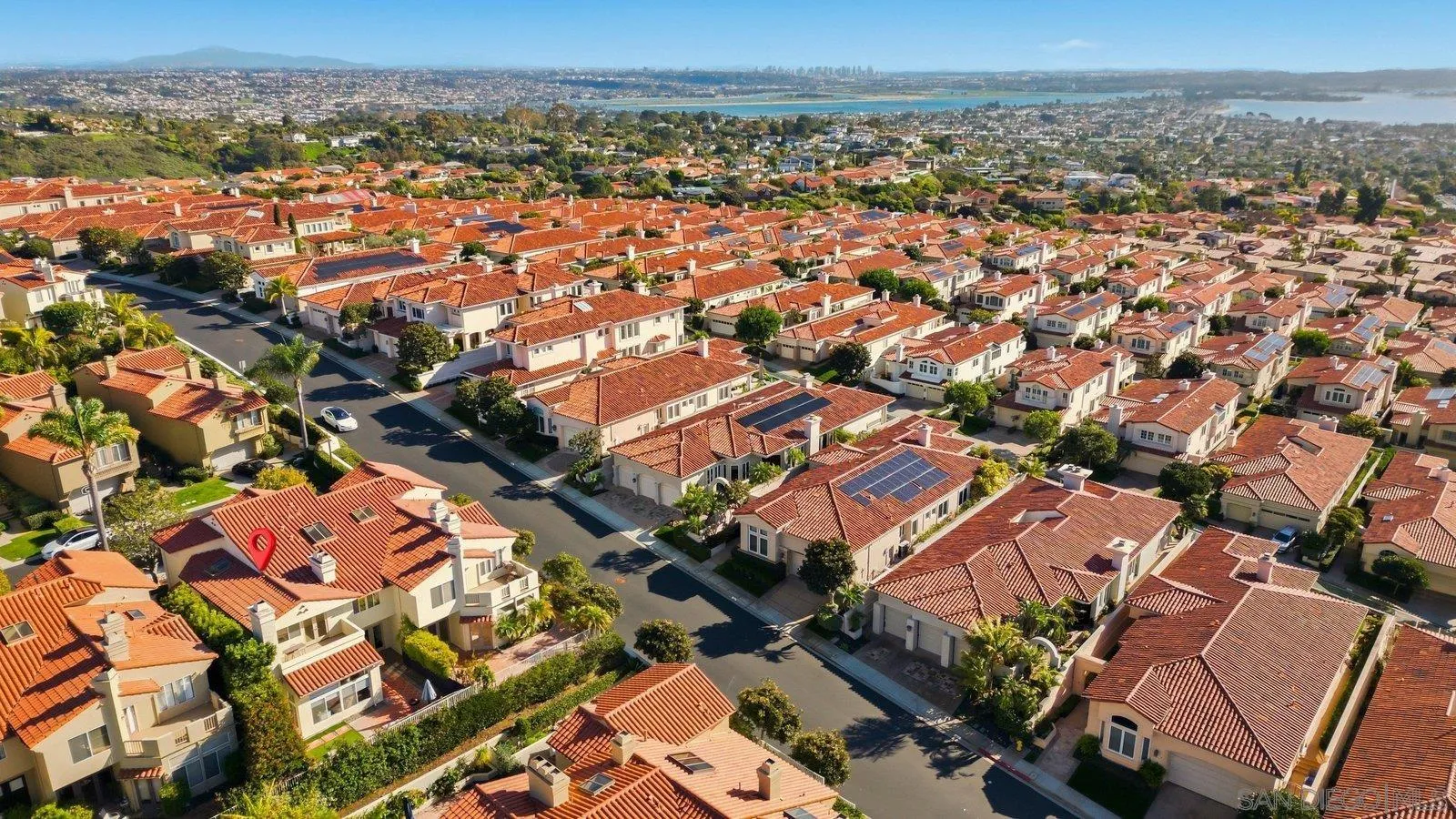 1618 Caminito Solidago