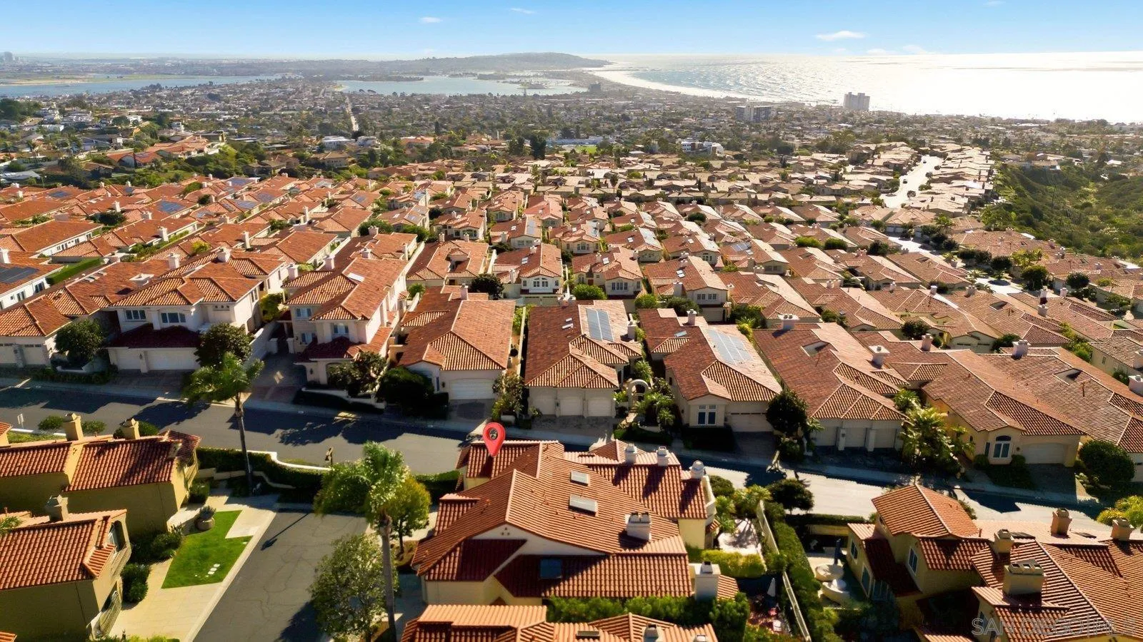 1618 Caminito Solidago