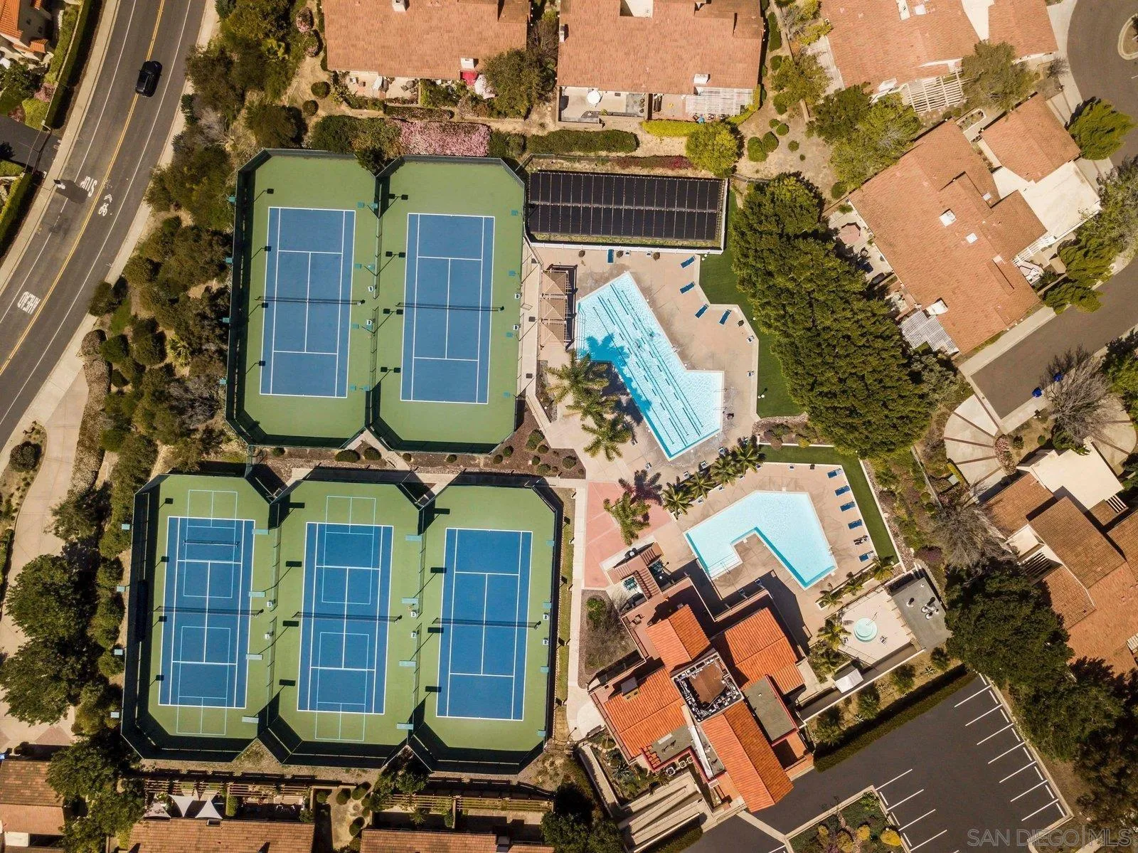 1618 Caminito Solidago