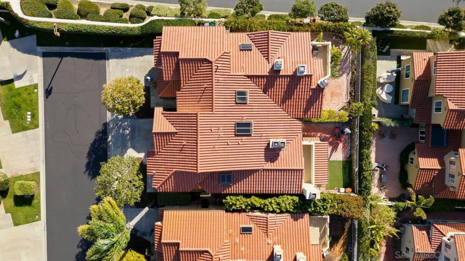 1618 Caminito Solidago