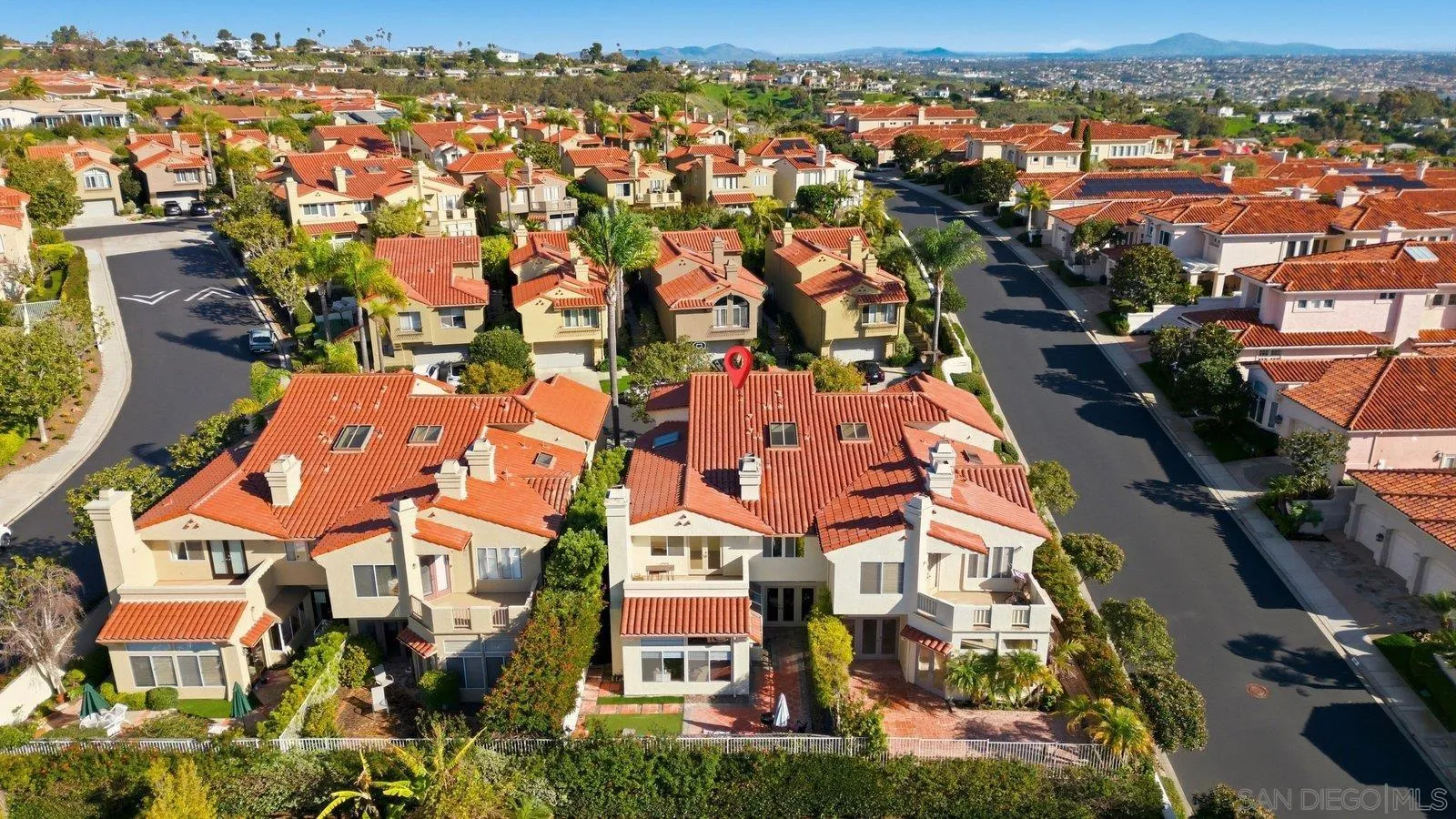 1618 Caminito Solidago