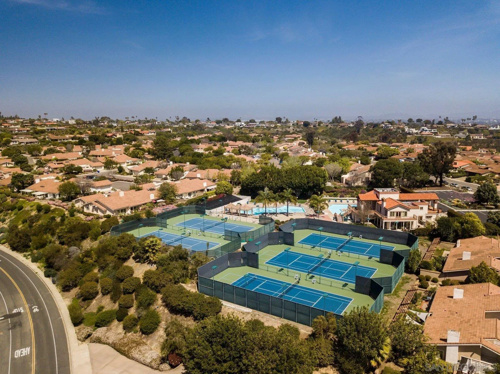 1618 Caminito Solidago