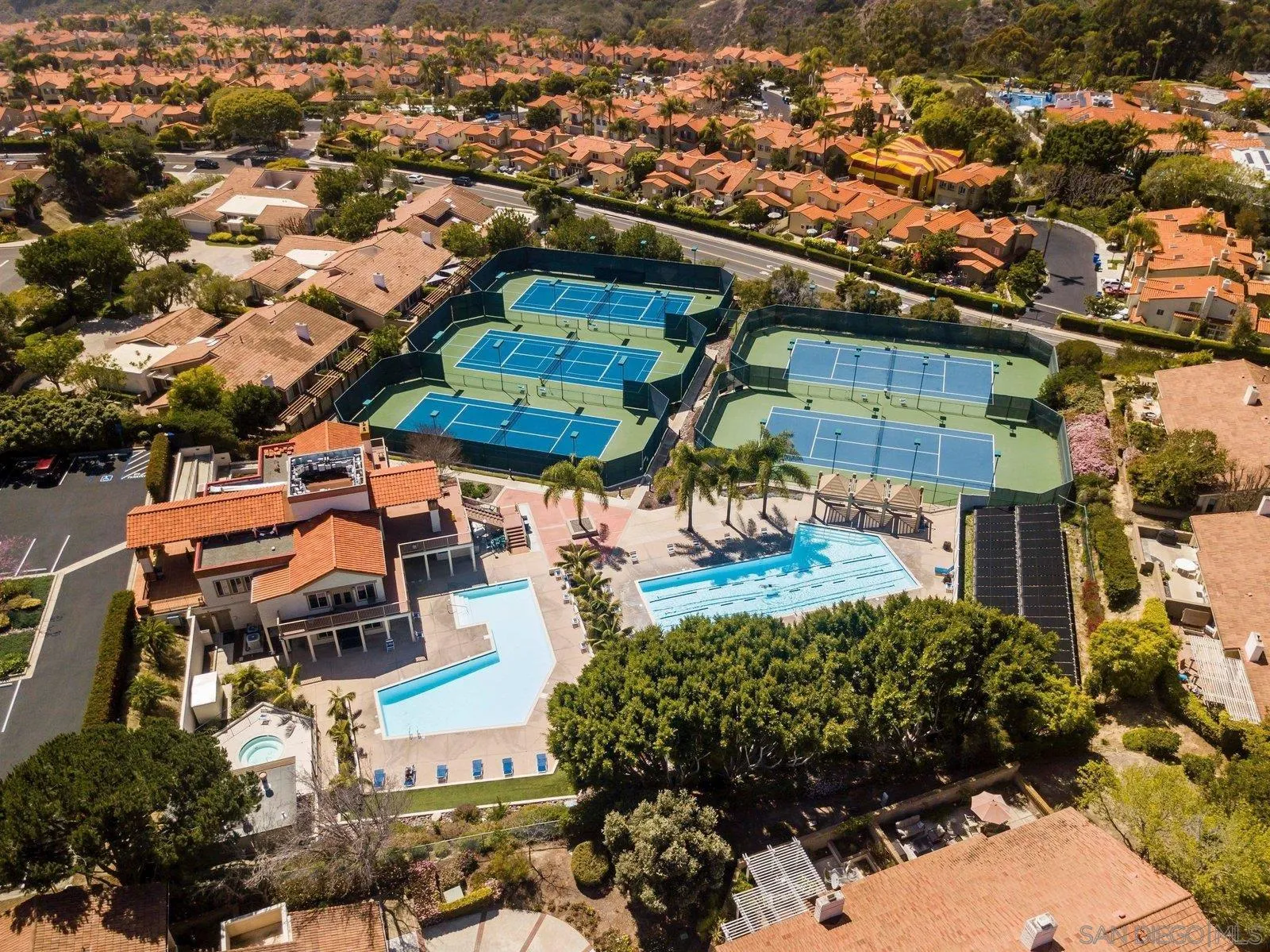 1618 Caminito Solidago