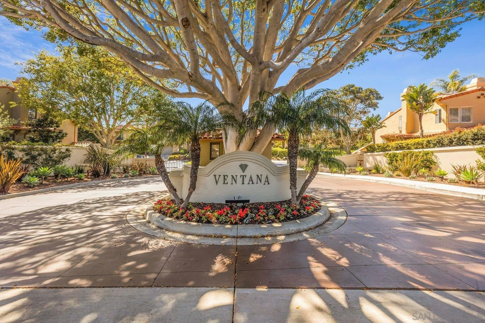 1618 Caminito Solidago