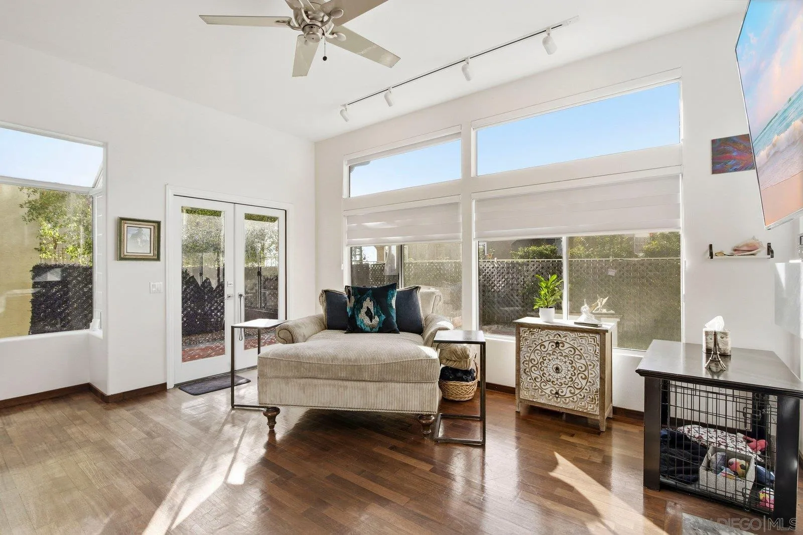 1618 Caminito Solidago