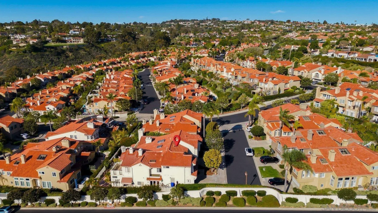 1618 Caminito Solidago