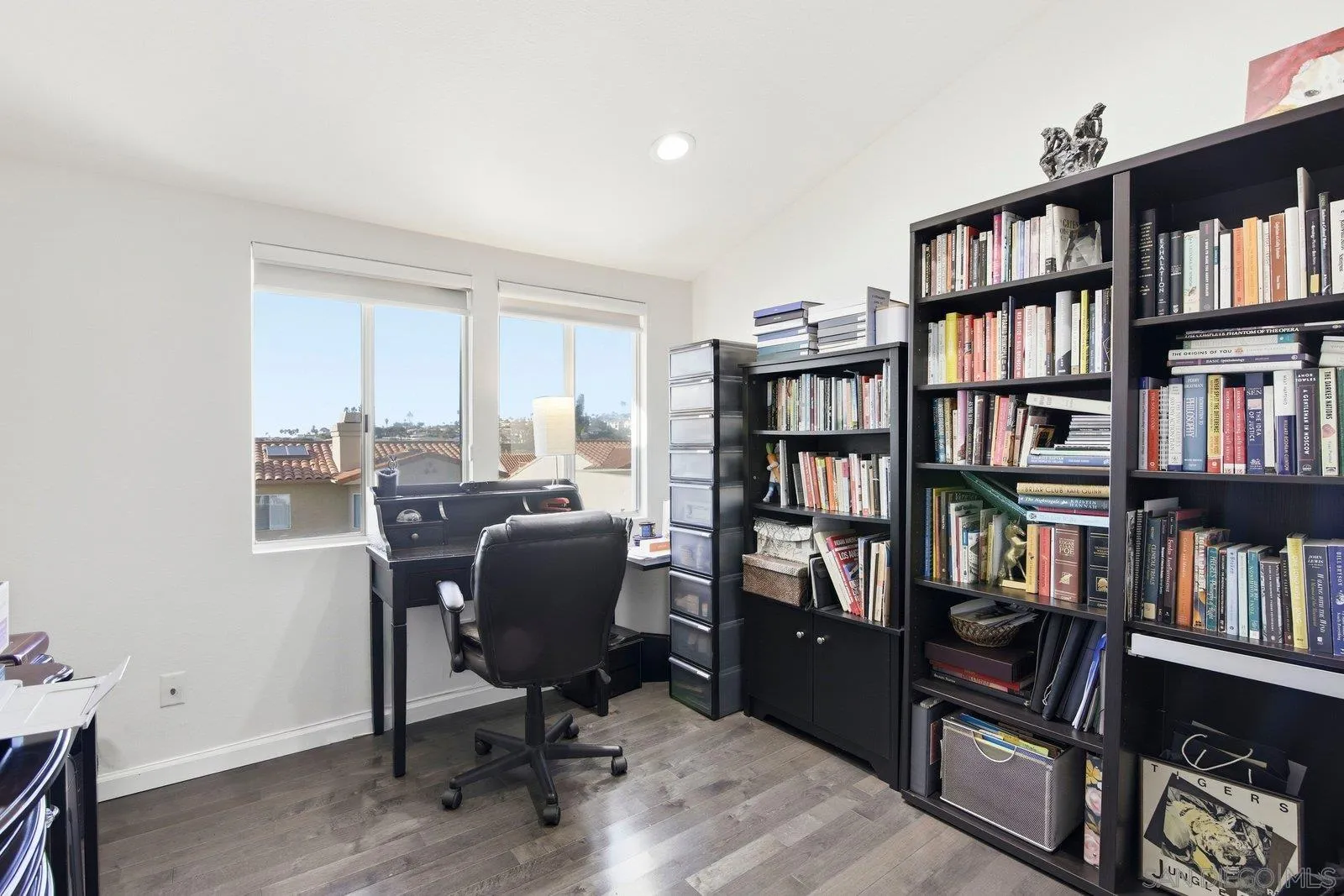 1618 Caminito Solidago