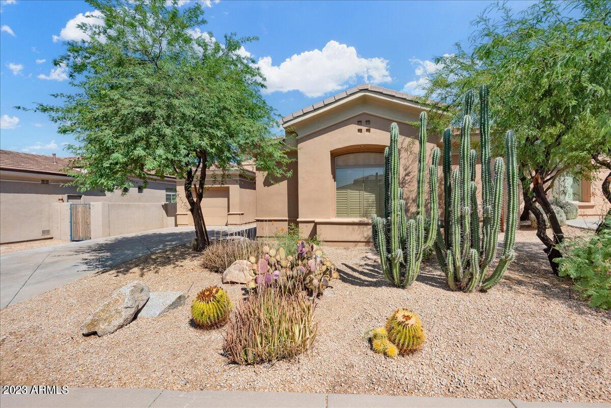 8432 E DIAMOND RIM Drive