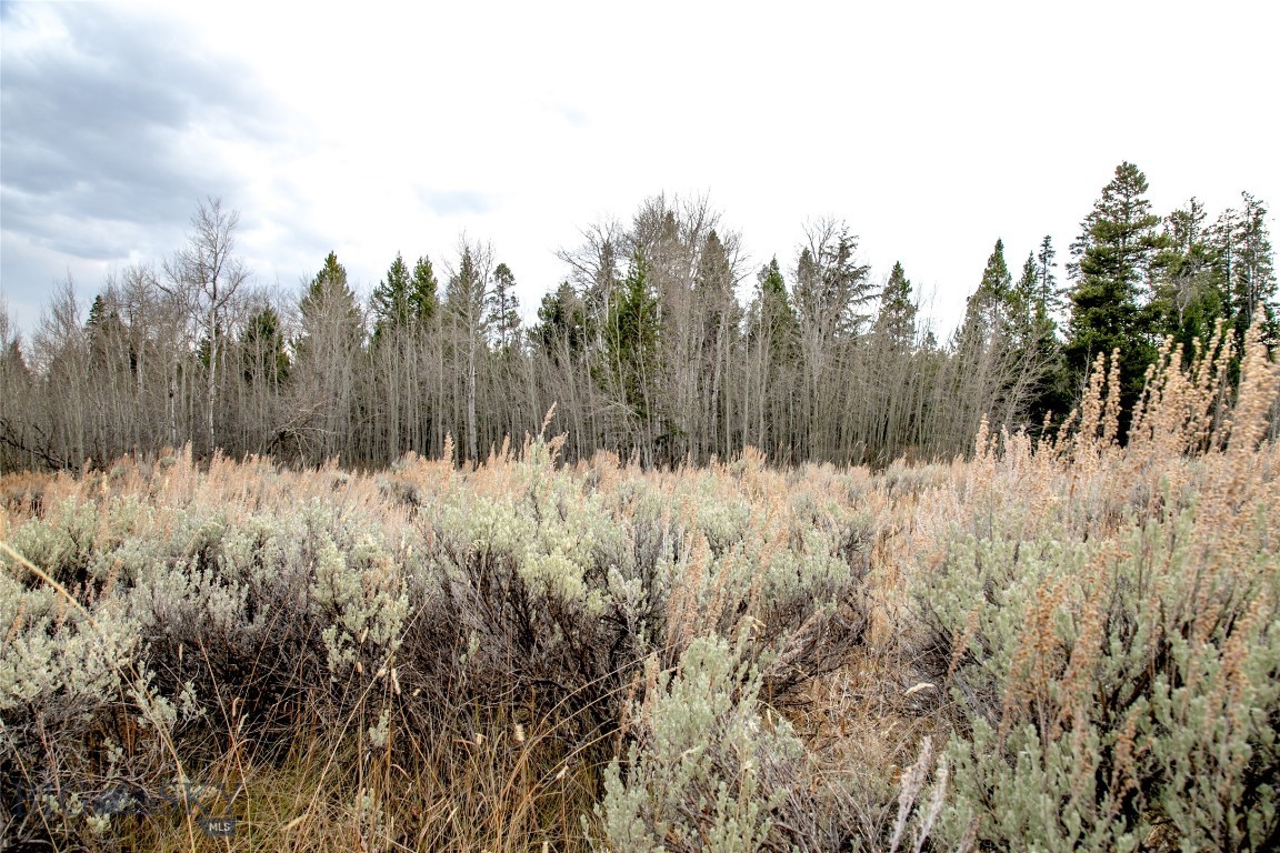 Lot 39 Sun West Ranch