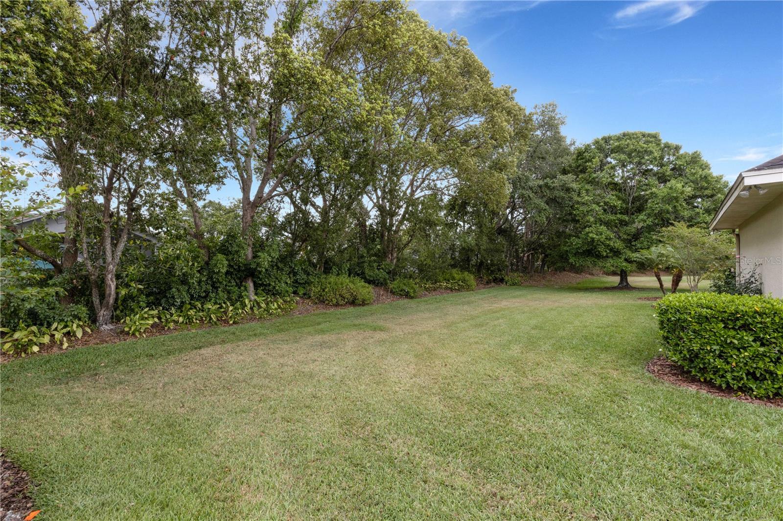 957 SUMMERFIELD DR