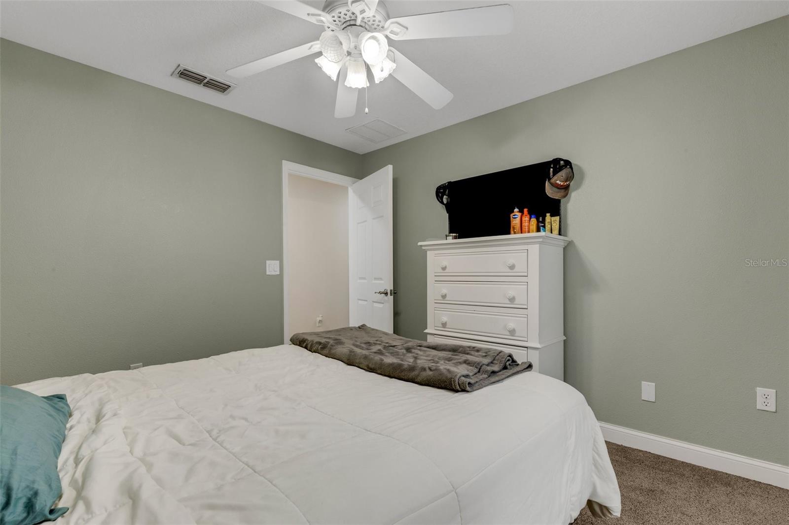 3866 ALAMANDA HILLS PL