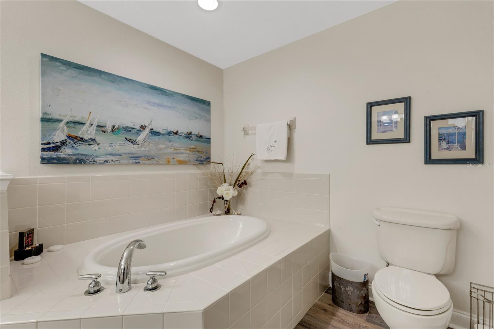3866 ALAMANDA HILLS PL