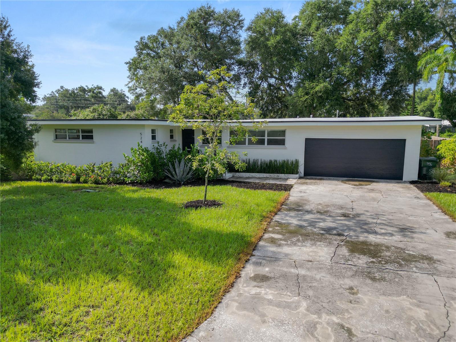 524 LOUISE DR