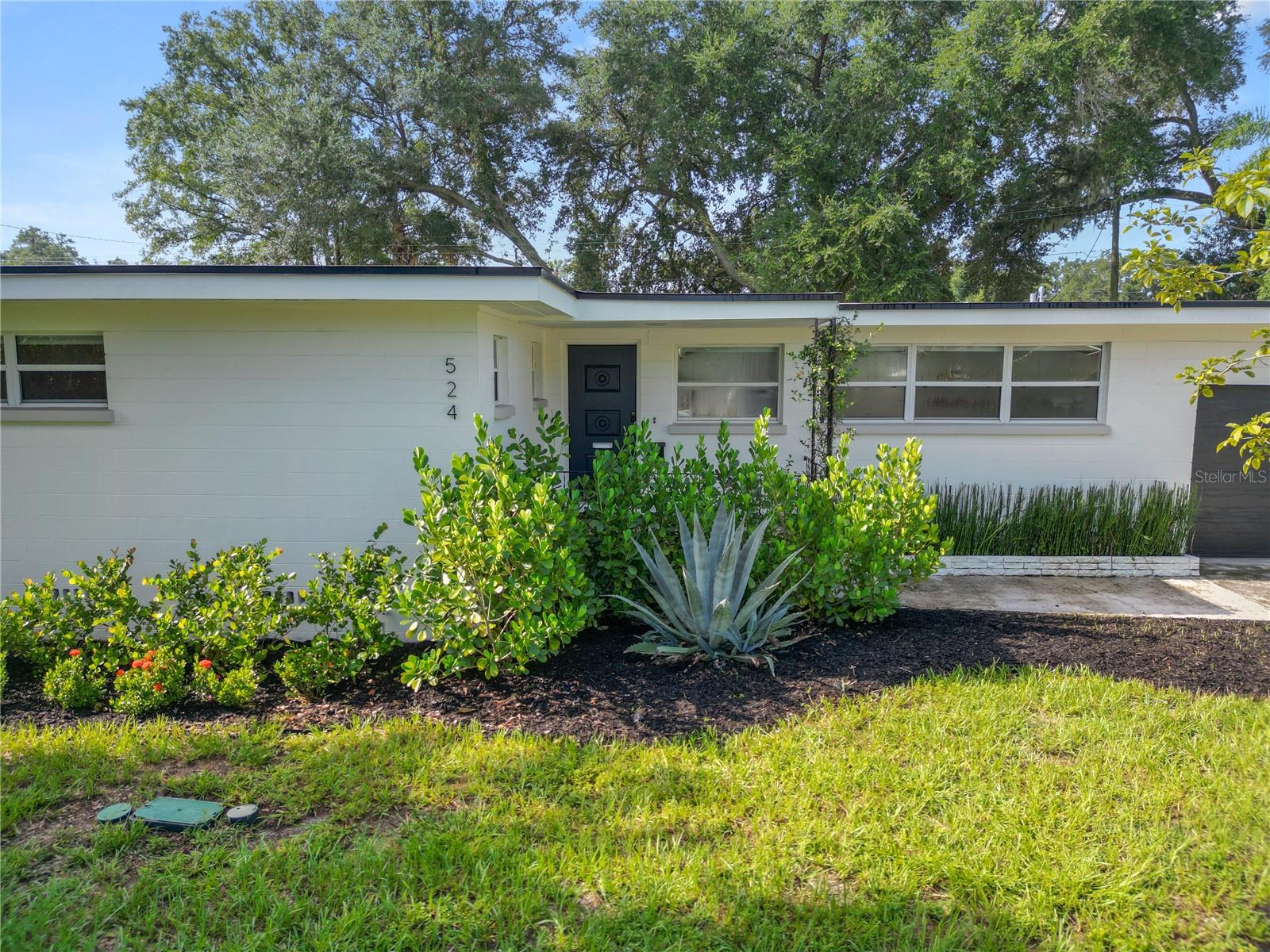524 LOUISE DR