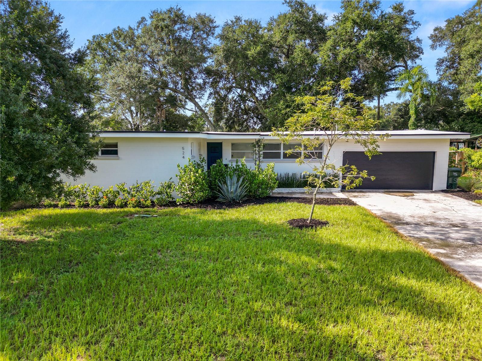 524 LOUISE DR
