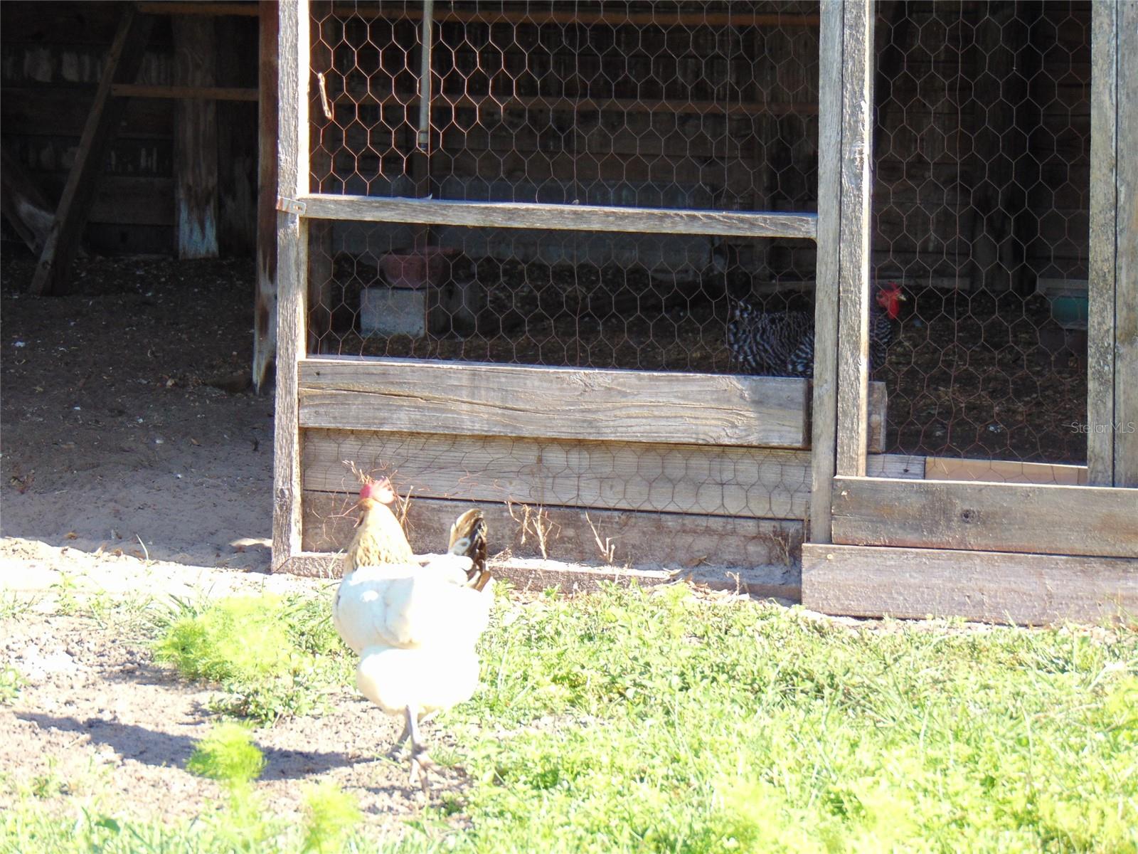 1722 BROKEN ARROW TRL N