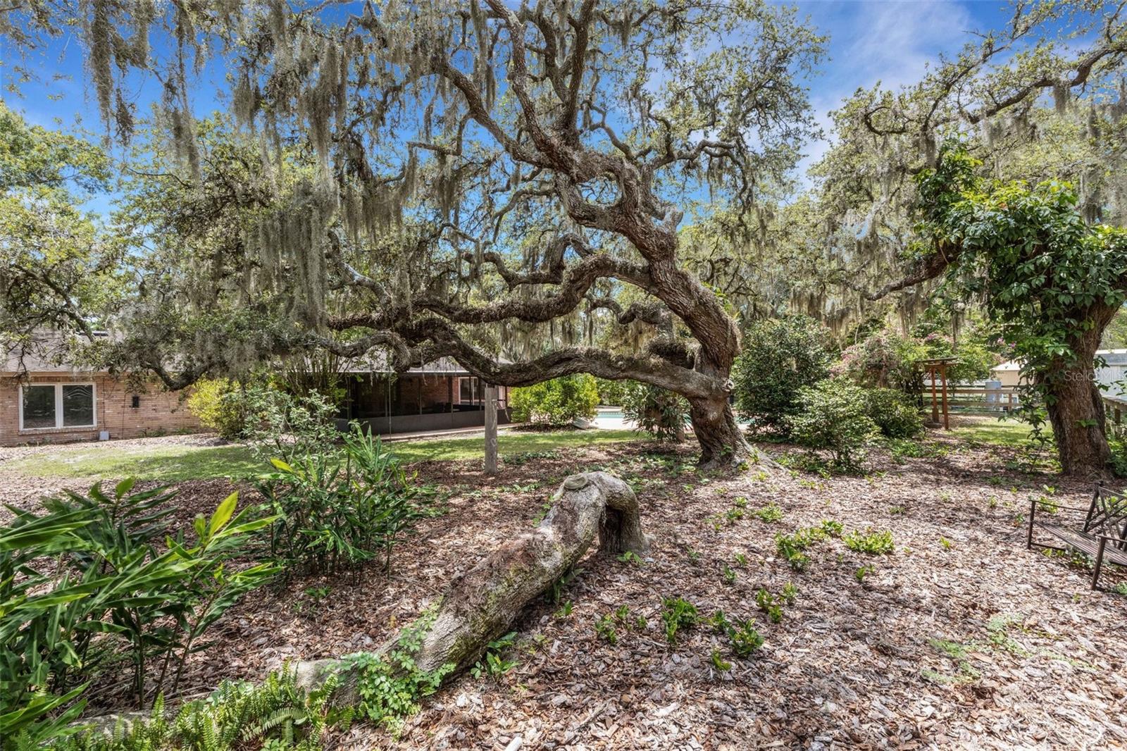 6819 BROKEN ARROW TRL S