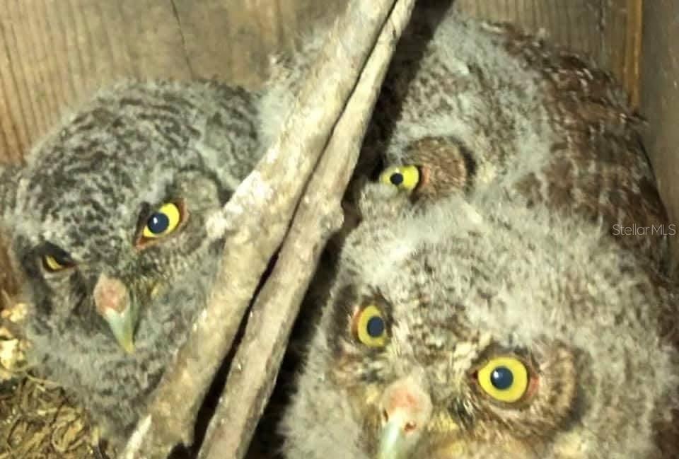 6819 BROKEN ARROW TRL S