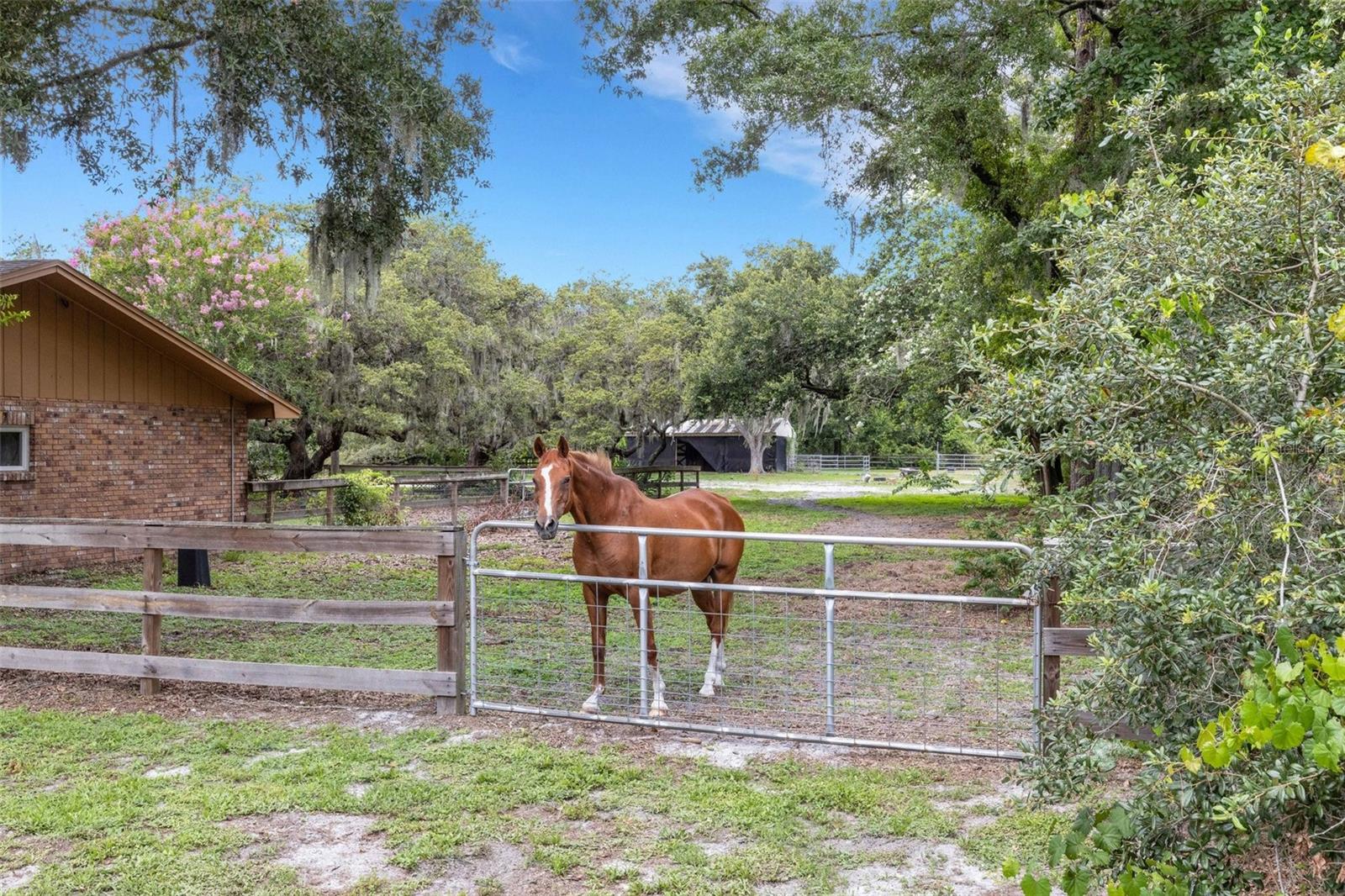 6819 BROKEN ARROW TRL S