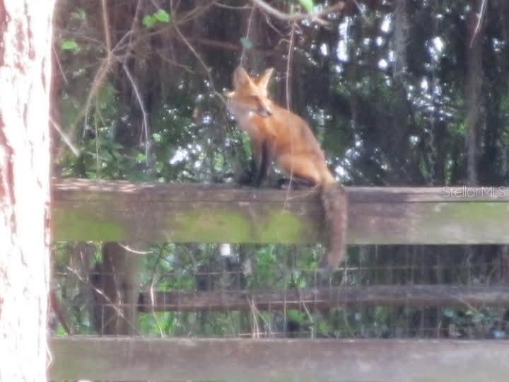 6819 BROKEN ARROW TRL S