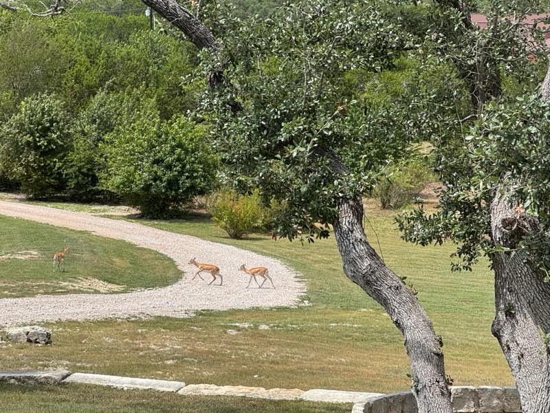 001953 County Road 250