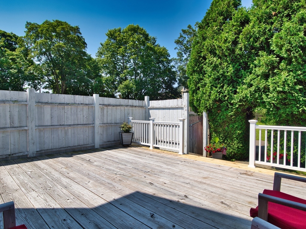 295 Cedar St