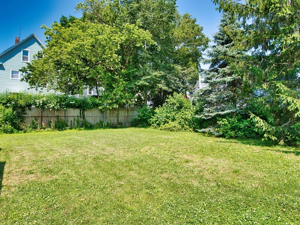295 Cedar St