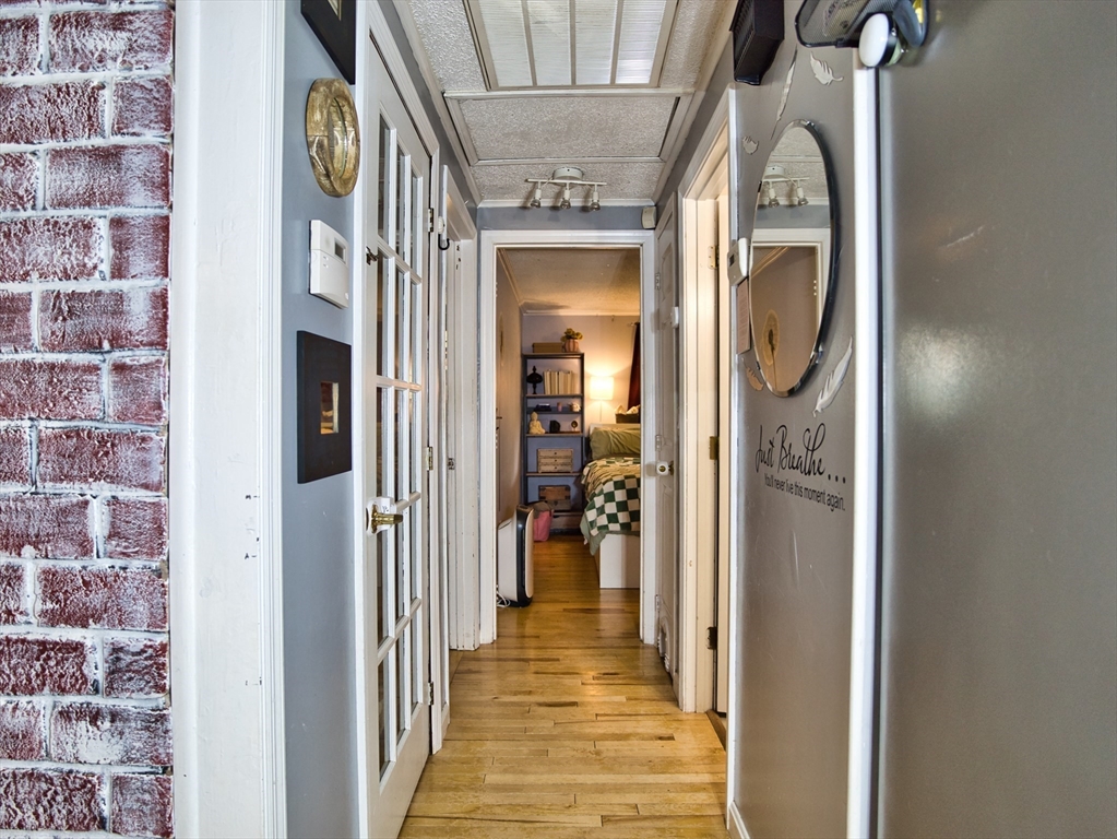 44 Maitland St